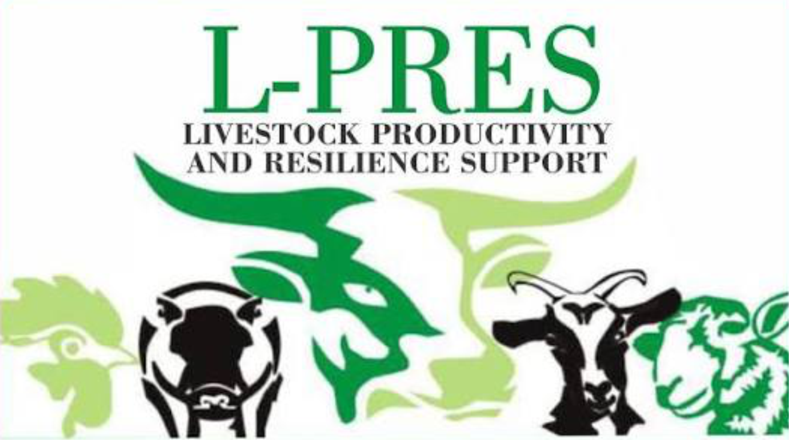 About L-press