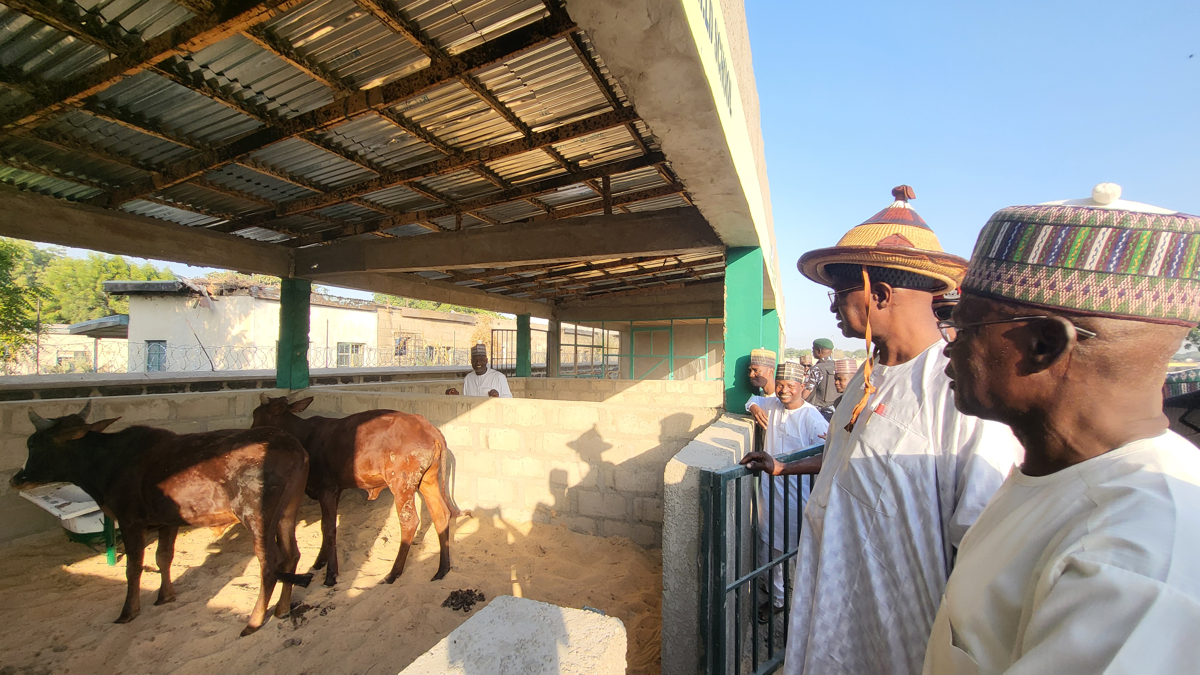 Visit by the Honorable Minister for Livestock Development and the L-PRES National Project Coordinator to the Newly Constructed Farmers Field School Site Constructed by The Borno State Livestock Productivity and Resilience Support